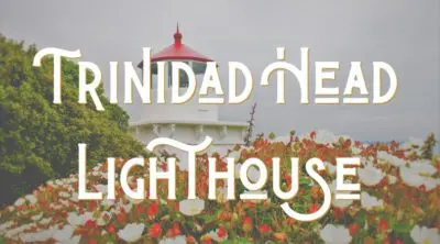 Trinidad Head Lighthouse Landing