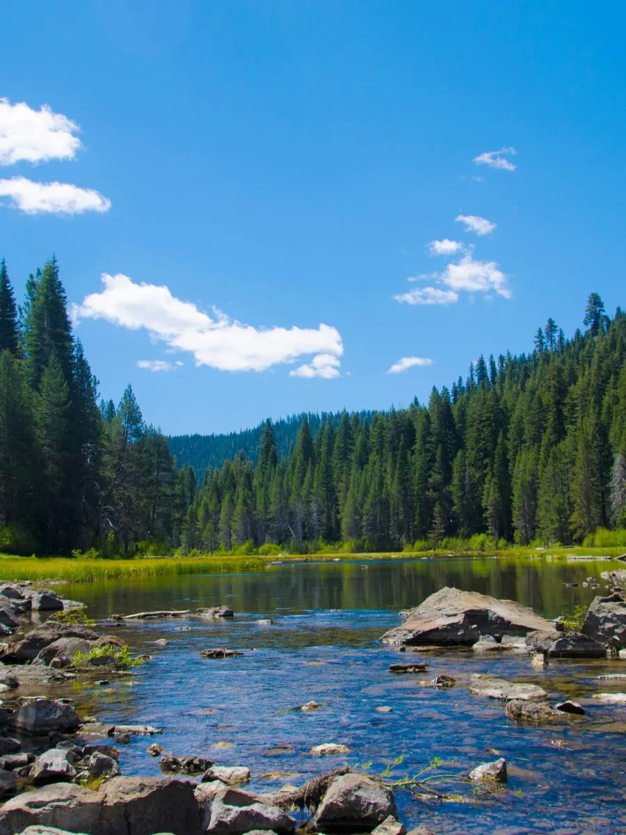 Truckee River at Lake Tahoe Sierra Mountains