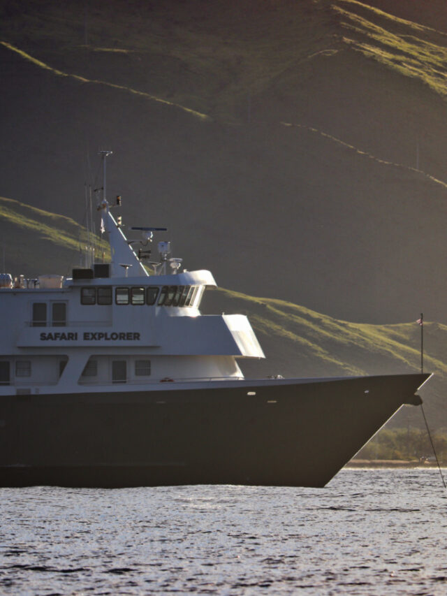 UnCruise Safari Explorer from Skiff at Sunrise Maui Hawaii 1