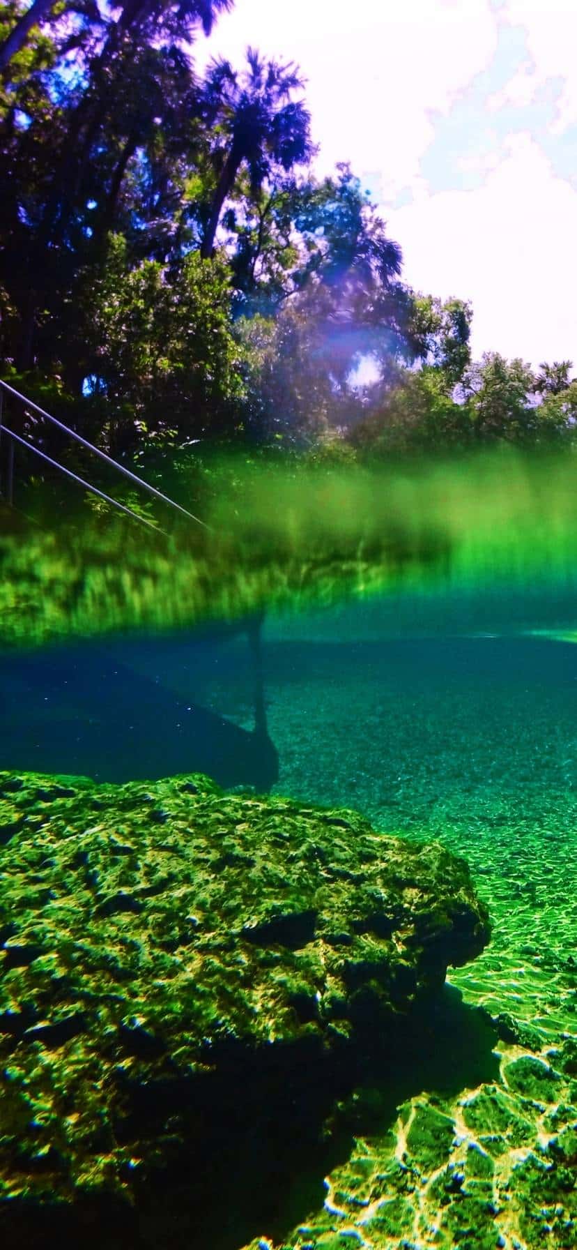 Underwater at Blue Spring State Park Florida