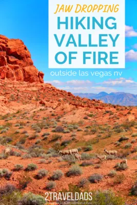 Valley of Fire with kids is a easy Las Vegas day trip. The best of Nevada nature, geology and history in one stop. Kid-friendly hiking and nature outside of Vegas. #nature #lasvegas #hiking