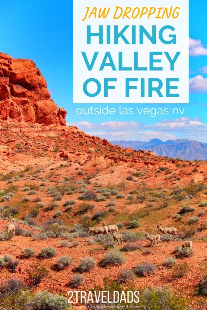 Valley of Fire with kids is a easy Las Vegas day trip. The best of Nevada nature, geology and history in one stop. Kid-friendly hiking and nature outside of Vegas. #nature #lasvegas #hiking