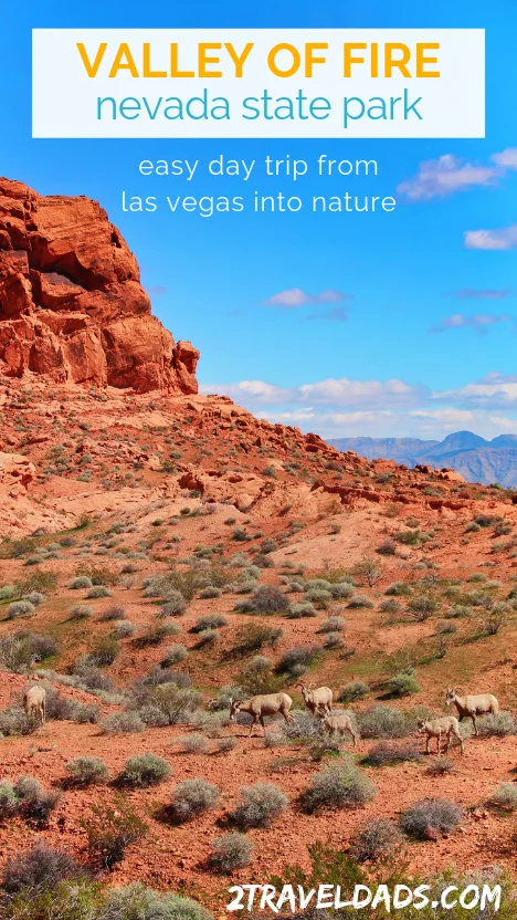 Valley of Fire with kids is a easy Las Vegas day trip. The best of Nevada nature, geology and history in one stop. Kid-friendly hiking and nature outside of Vegas. #nature #lasvegas #hiking