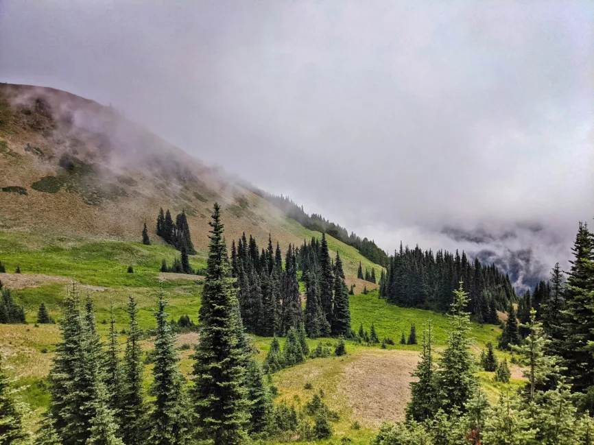 View from Hurricane Hill Trail Hurricane Ridge Olympic National Park Washington 3