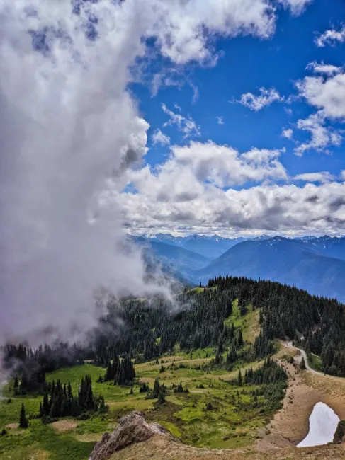 View from Hurricane Hill Trail Hurricane Ridge Olympic National Park Washington 6