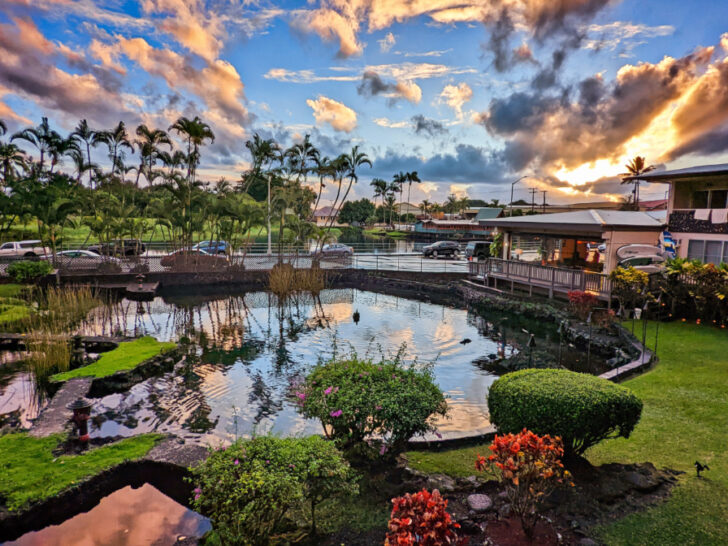View from SCP Hilo Hotel Big Island Hawaii 1
