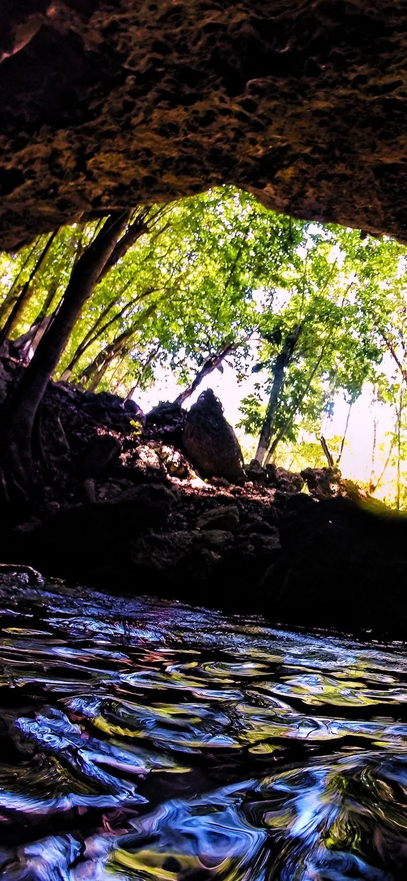 The Cenotes near Cancun are amazing and really easy to add to a beach vacation. Cenotes are even easy to visit as a cruise excursion from a Caribbean Mexico port of call or Yucatan road trip.