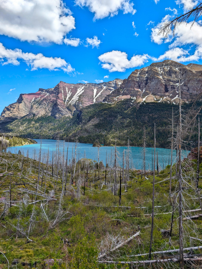 View of St Mary Lake from Trail Glacier National Park Montana 1