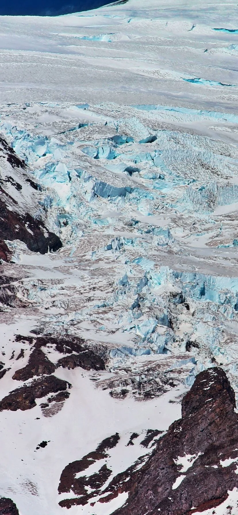 Viewing Glaciers From Paradise Best Day Hikes at Mount Rainier National Park