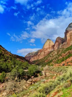 Virgin River flowing through Zion National Park Utah 6