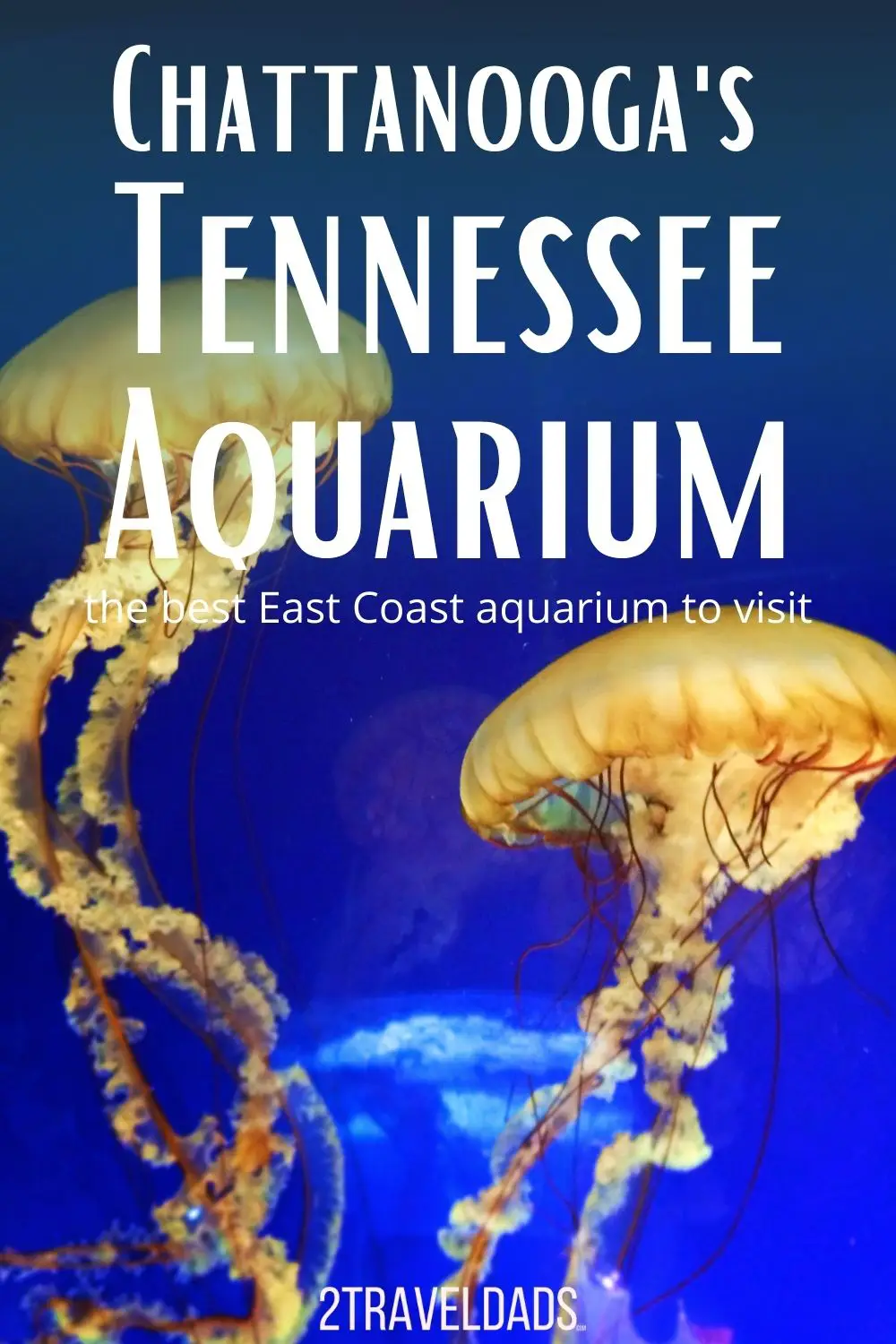 The Tennessee Aquarium in Chattanooga is the best zoo/aquarium on the East Coast. Tips for visiting with kids, special exhibits and more