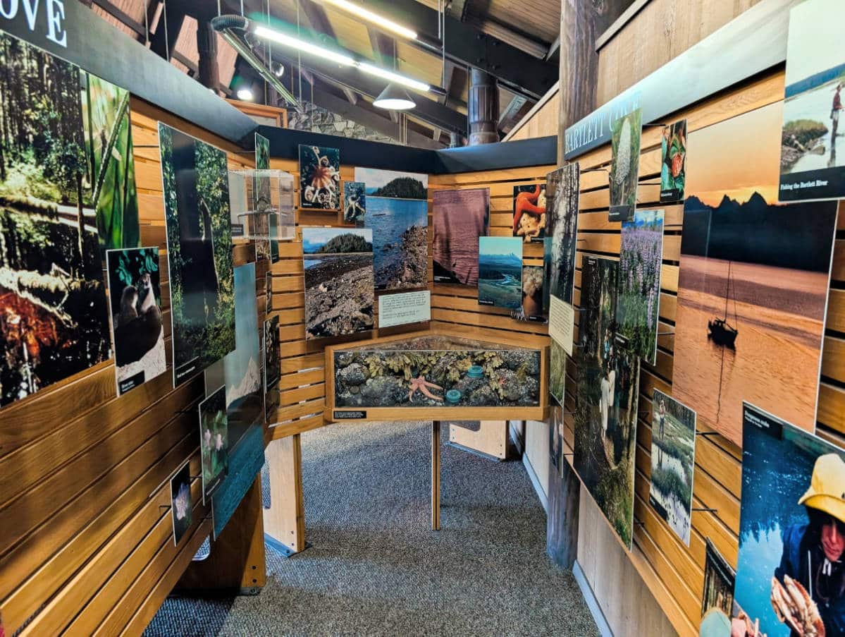 Visitor Center in Glacier Bay Lodge in Glacier Bay National Park Gustavus Alaska 2