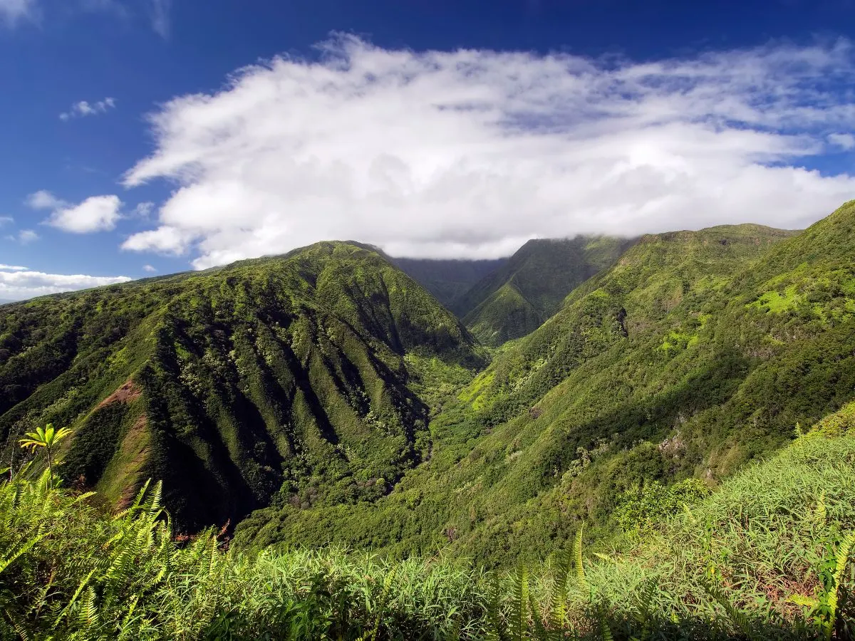Waihee Ridge Trail View west of Kahalui Maui Hawaii