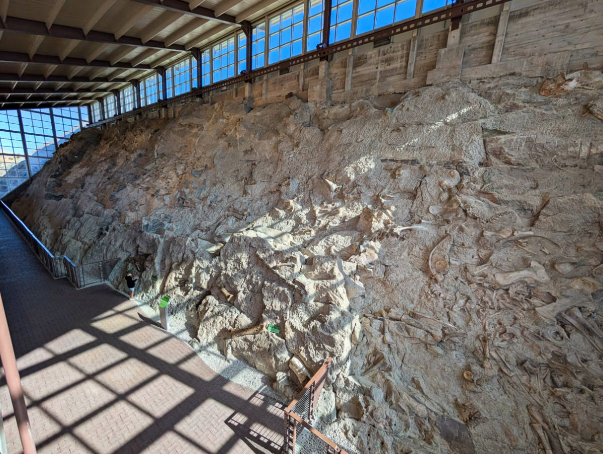 Wall of Bones Exhibit in Dinosaur National Monument Vernal Utah 1