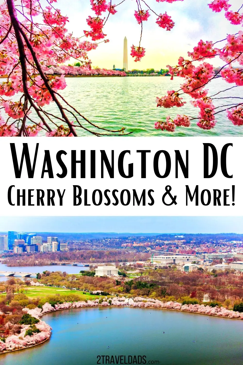 Everything you need to know to visit Washington DC for cherry blossoms. When to visit, where to go and everything else to do in the cultural center of DC.