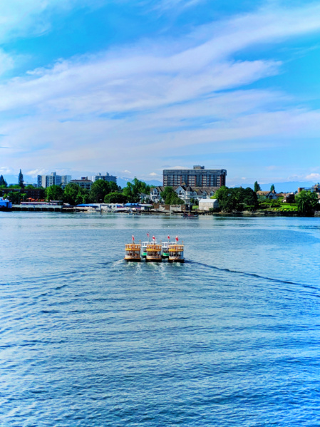 Water Ballet with Victoria Harbour Ferry water taxi Victoria BC 2