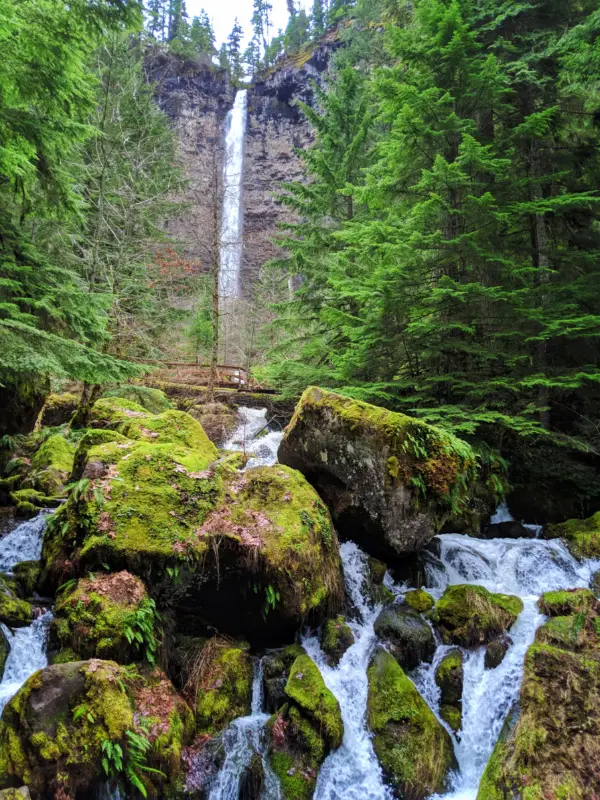 Watson Falls Umpqua National Forest Oregon 3