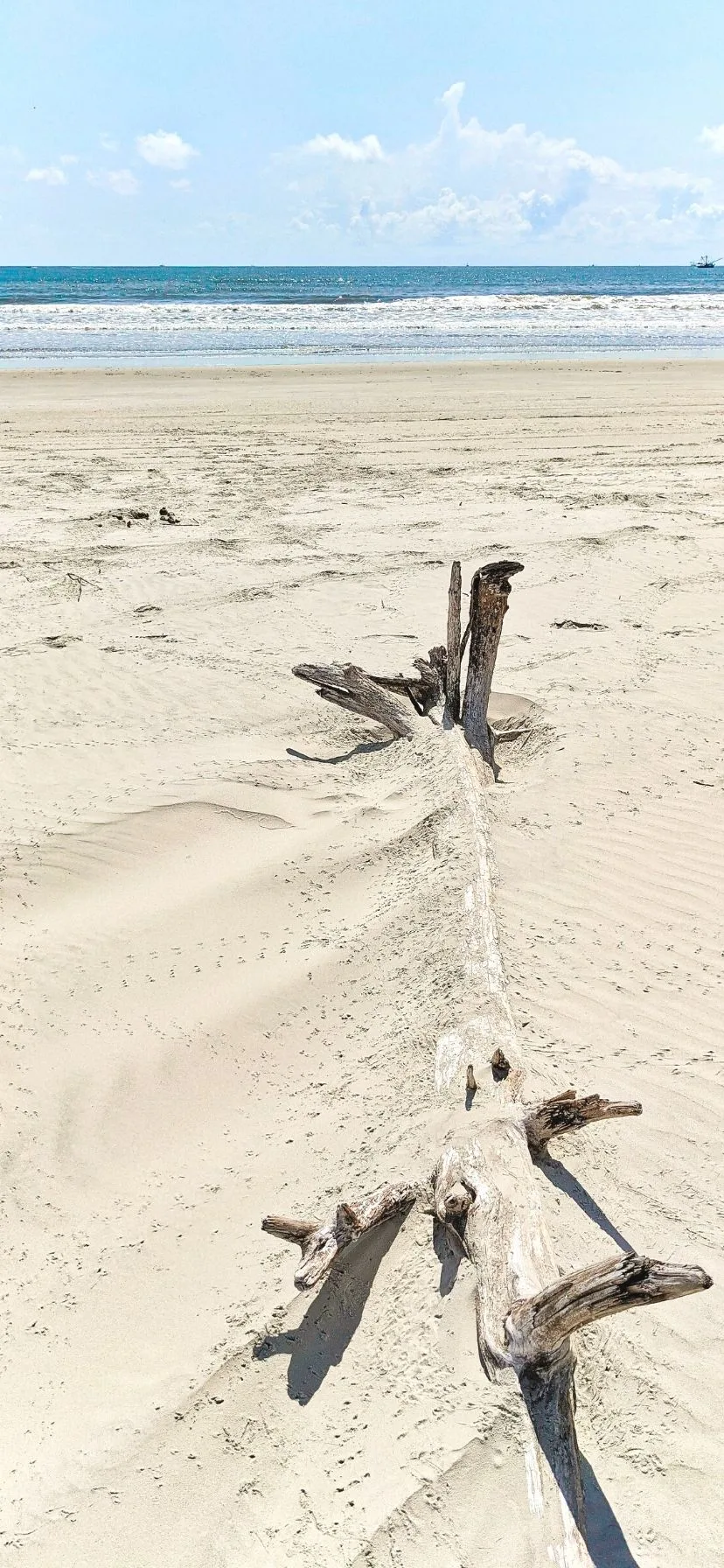 Beach at Cumberland Island National Seashore