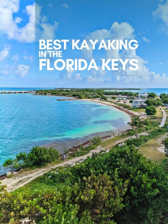 Best Spots to Kayak in the Florida Keys