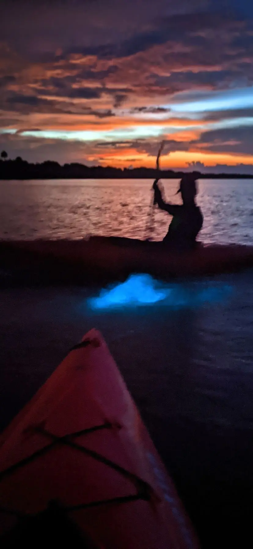 Sunset Bioluminescent Kayaking in Florida