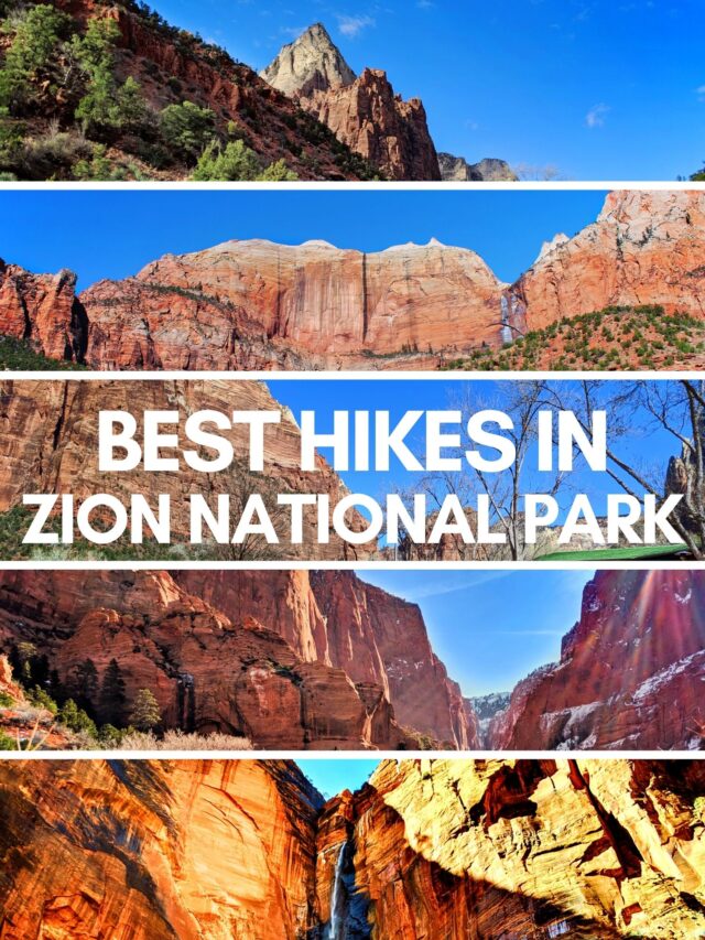 Best Hikes in Zion National Park Utah