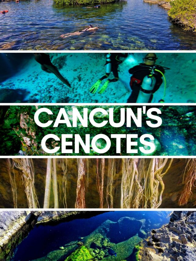 Best Cenotes Near Cancun and Tulum