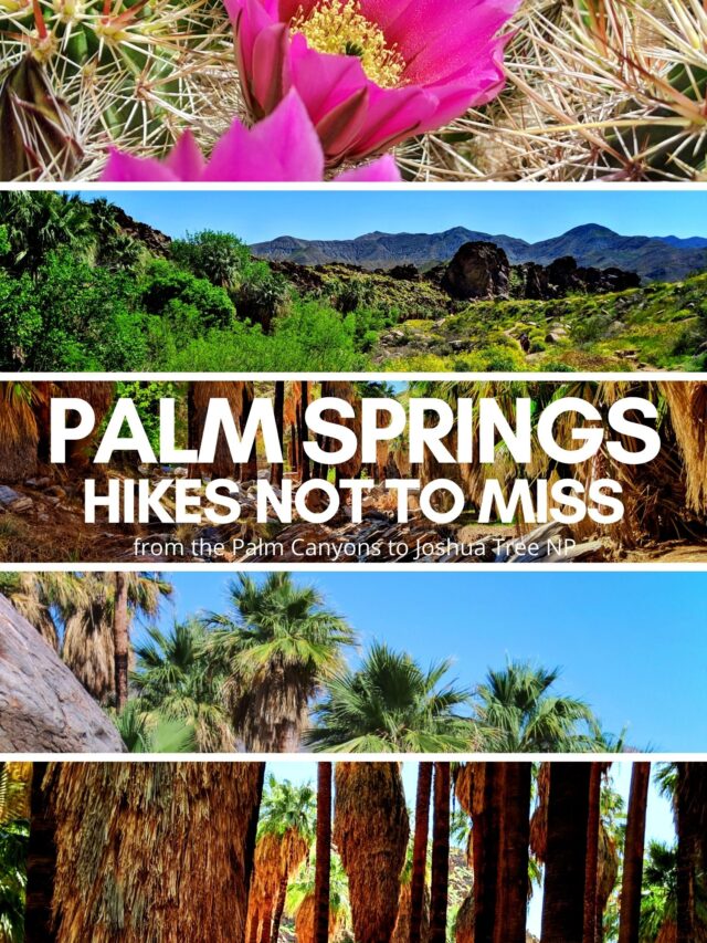 Best Hikes in Palm Springs