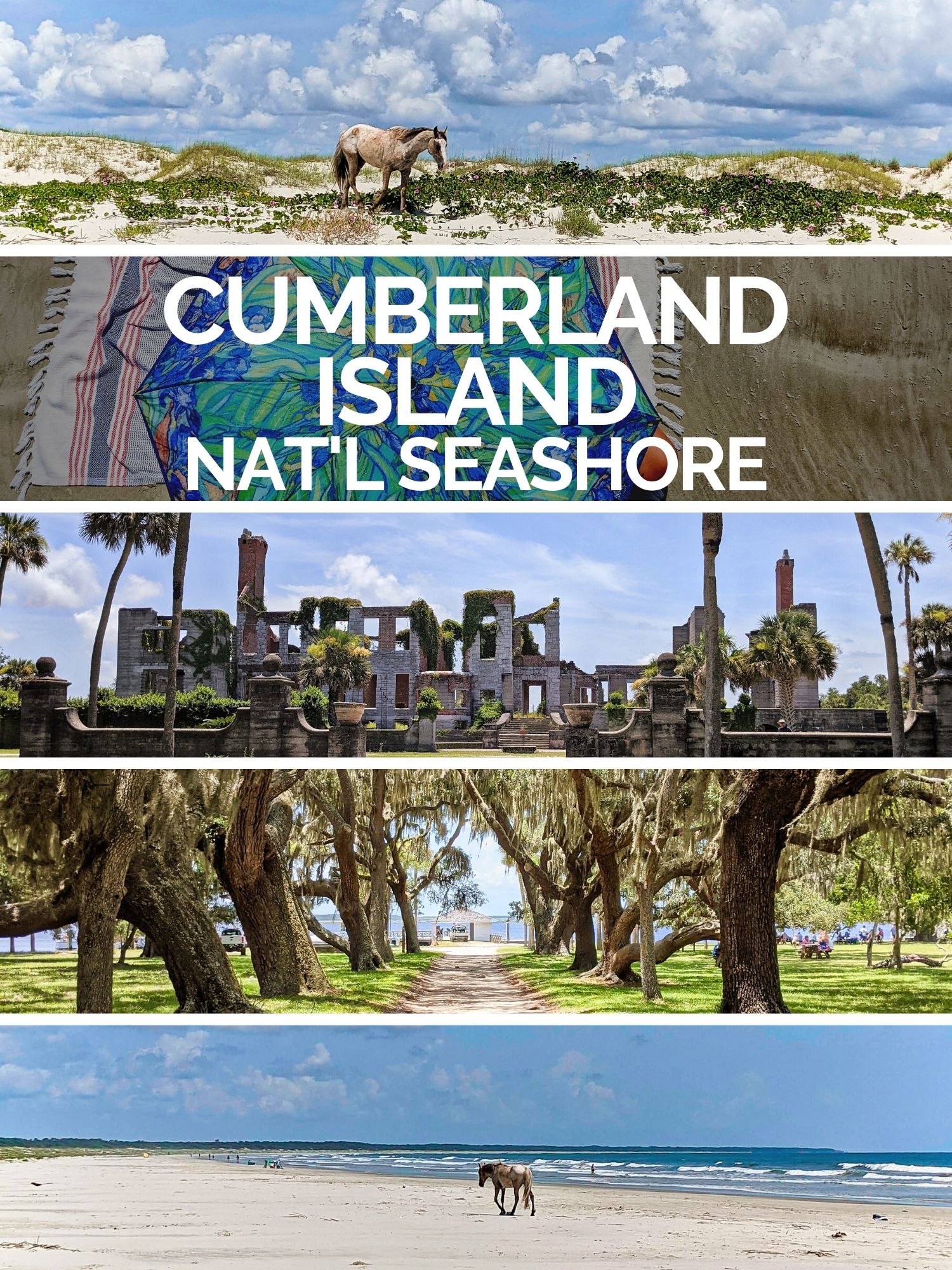 Cumberland Island National Seashore Guide to Visitin