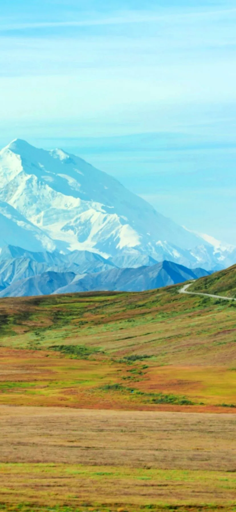 Denali National Park Fall Colors