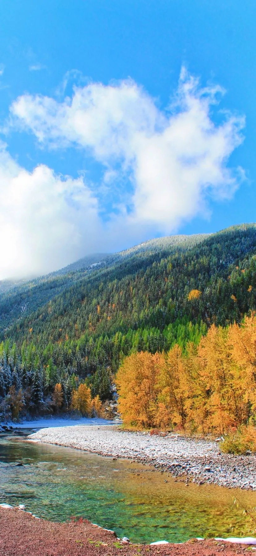 Flathead National Forest Fall Colors