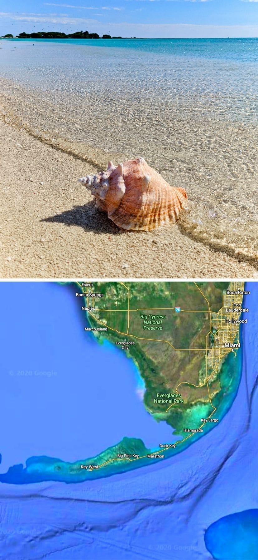 Conch shell on beach with map of Florida Keys Kayaking