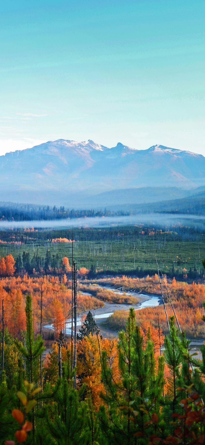 Glacier National Park Fall Colors
