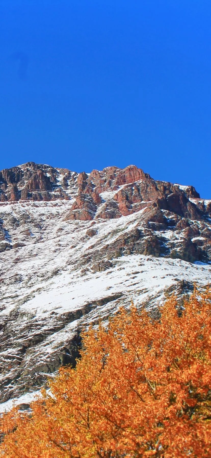 Glacier National Park Fall Colors