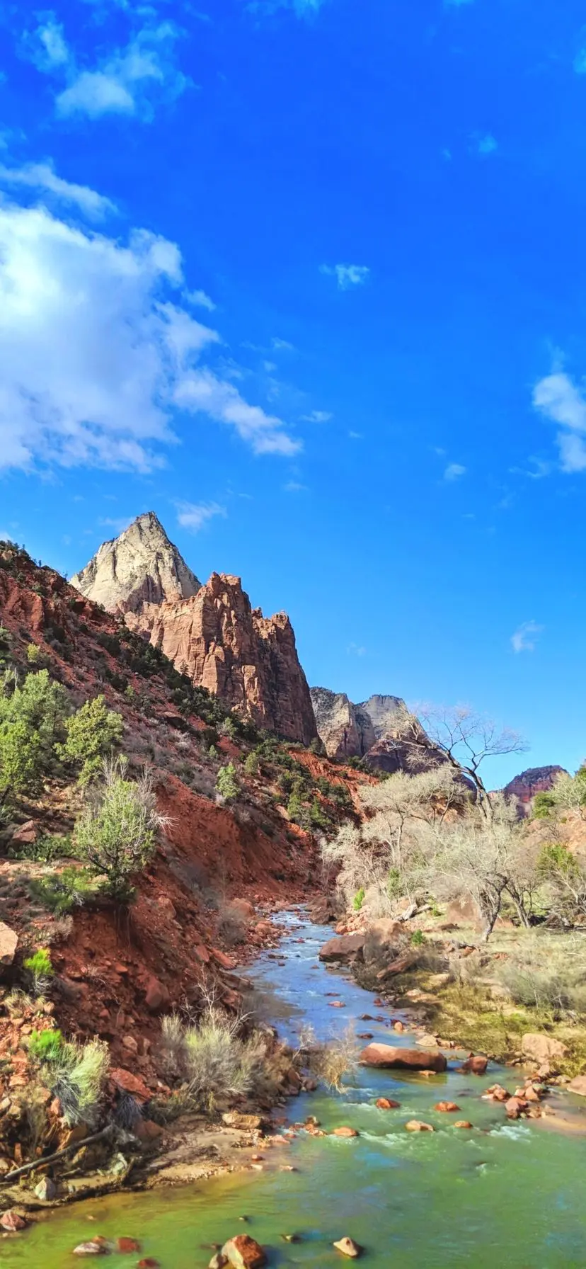 Virgin River in Zion National Park - best hikes in Zion