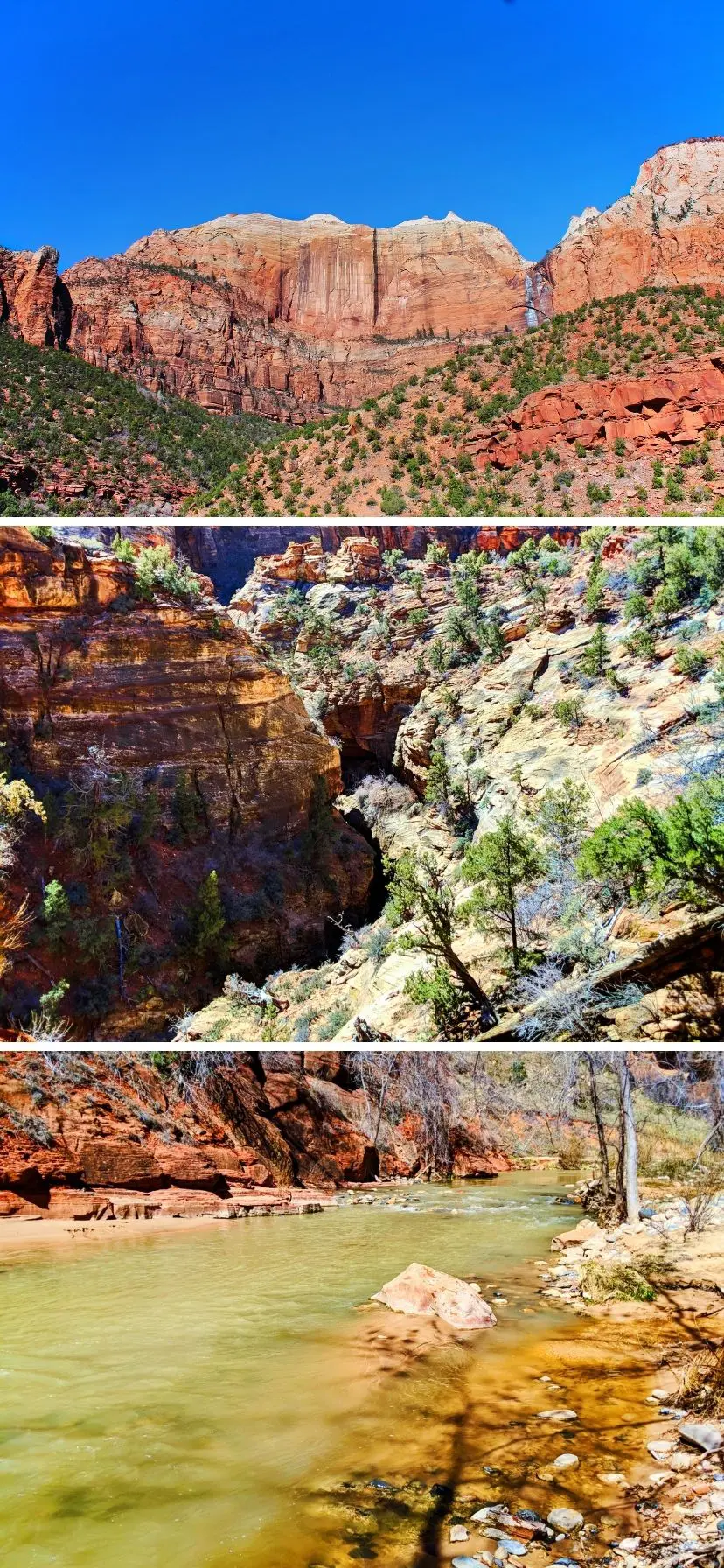 Best hikes in Zion National Park include difficult and kid-friendly hiking. The Narrows, Zion Overlook, Emerald Pools and hiking in Kolob Canyons are just a few. These are the top hikes in Zion NP, UT