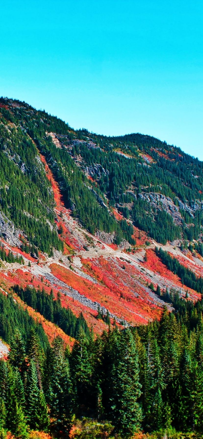 Mount Rainier National Park Fall Colors