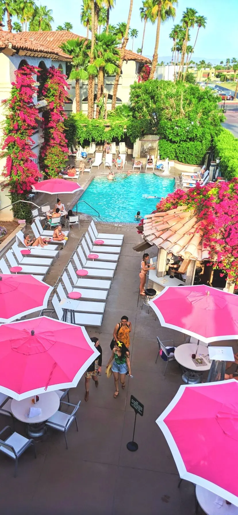 Pink umbrella at the pool, Las Brisas Hotel Palm Springs