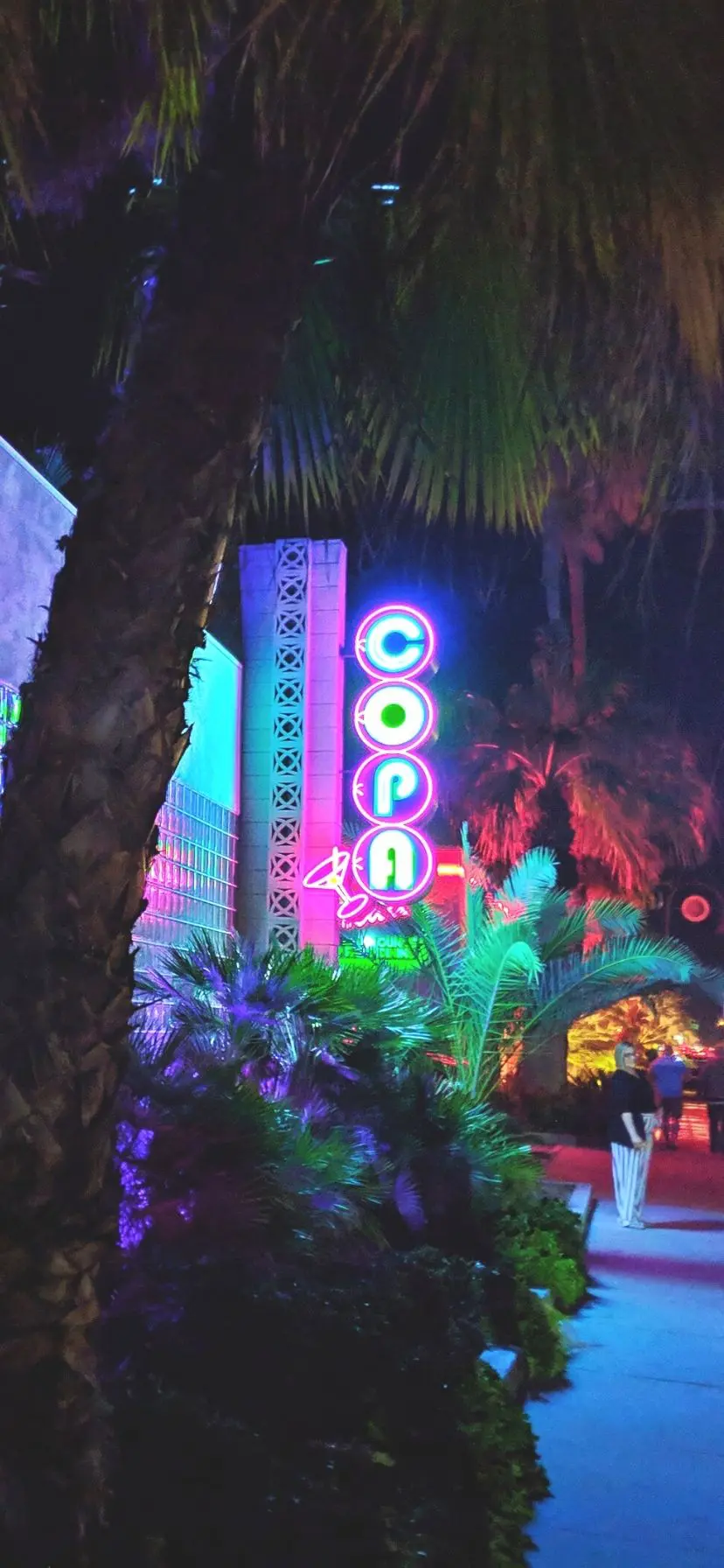 Vintage neon at night in downtown Palm Springs