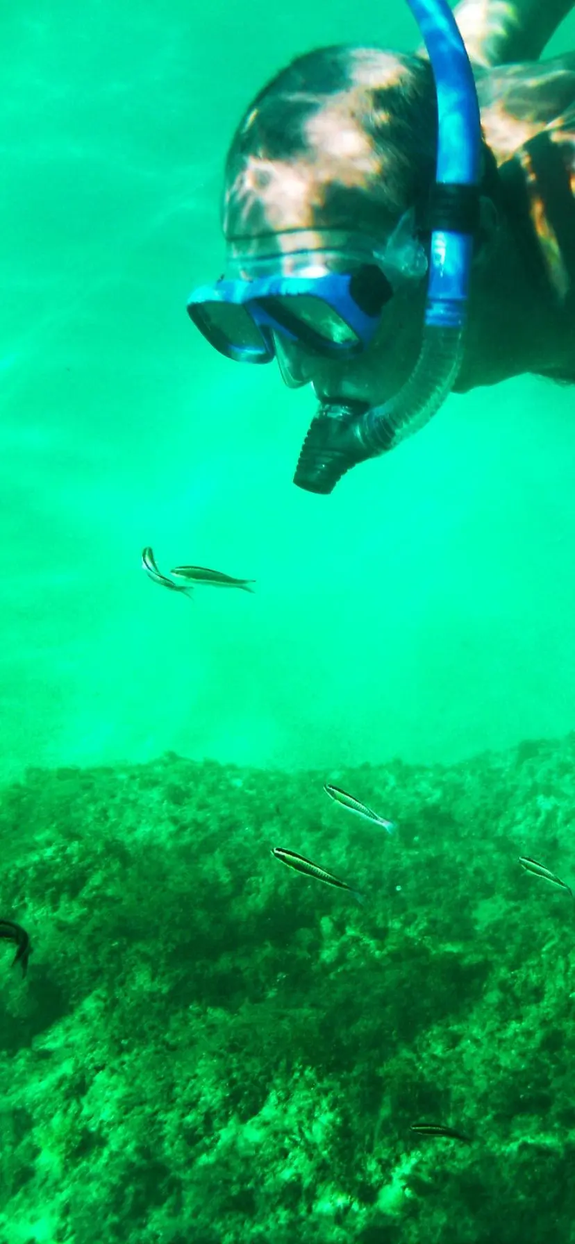 Underwater view while snorkeling in Cabo San Lucas