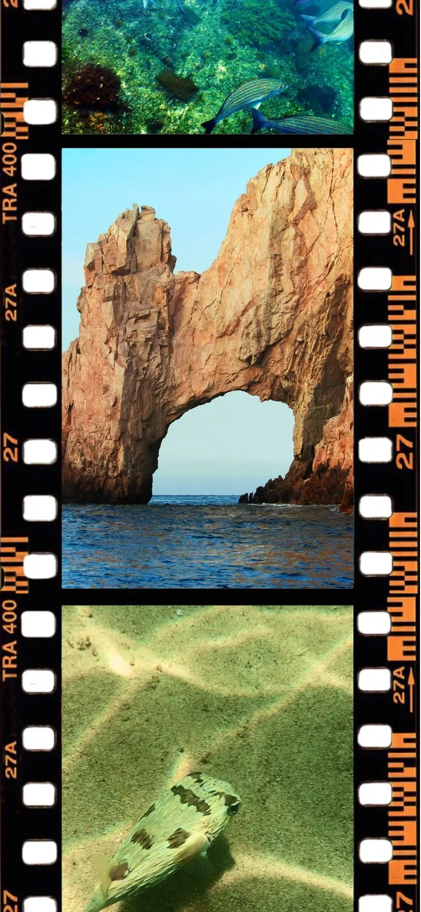 The Arch at Cabo San Lucas, snorkeling spots in Cabo