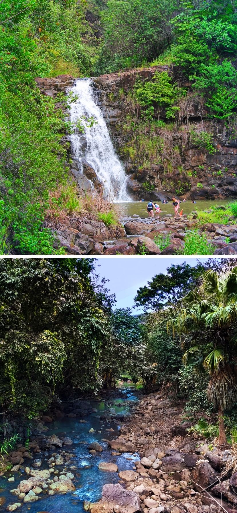 Waimea Valley hiking and waterfall, Oahu North Shore