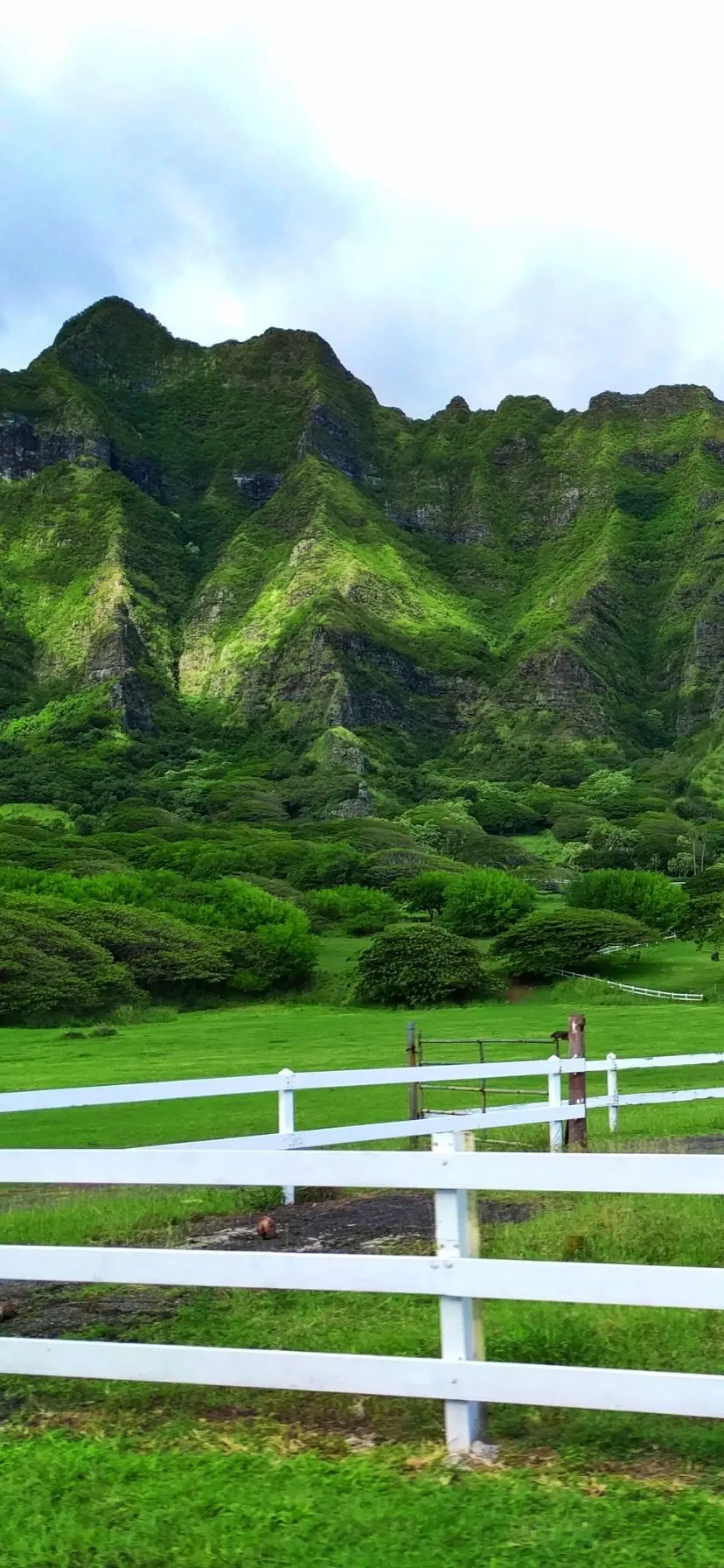 Green mountains at Kualoa Ranch, Oahu North Shore