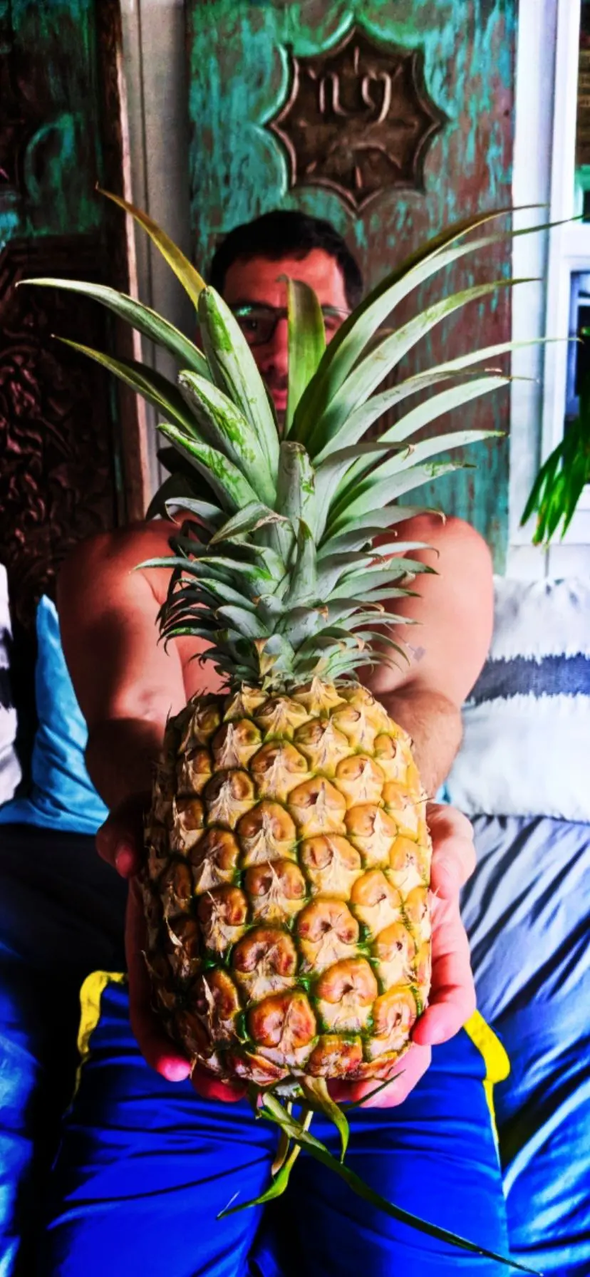 Fresh pineapple from Dole Plantation, Kamehameha Highway, Oahu North Shore