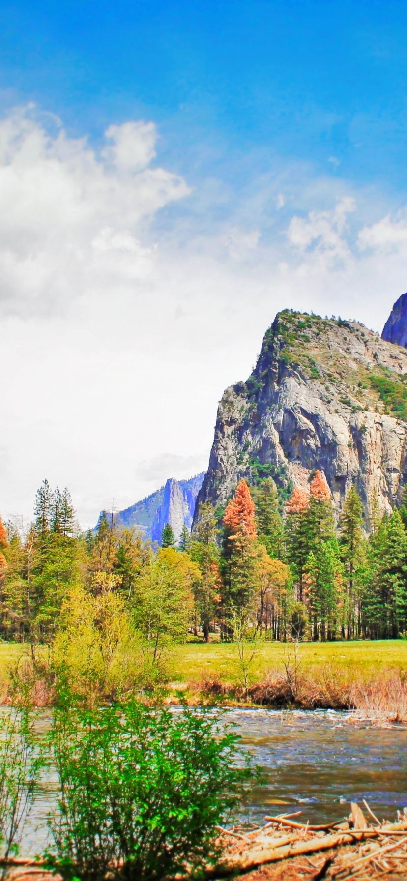 Yosemite National Park Fall Colors