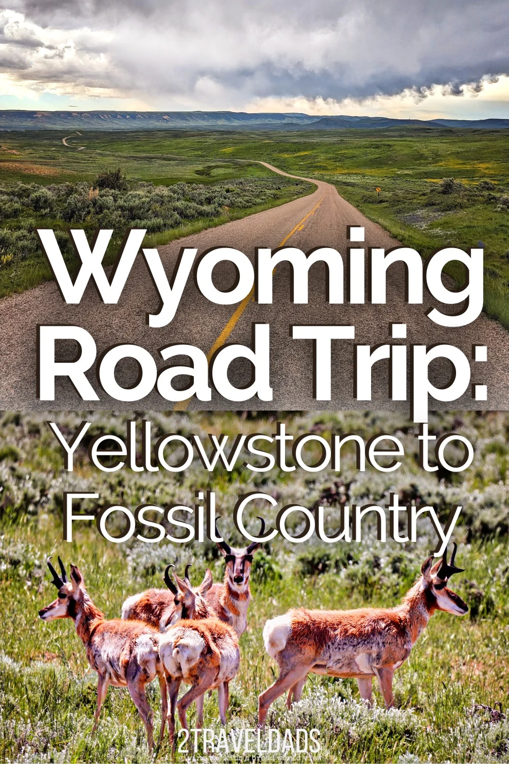 This Western Wyoming road trip plan is fun and flexible, great for visiting Yellowstone, having cowboy experiences in Cody and digging for dinosaurs in fossil country. Check out this itinerary for a very different sort of Wyoming adventure.