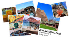 Planning where to stay at Zion National Park and knowing where to eat are big parts of a successful family trip to Utah, key to traveling on a budget.