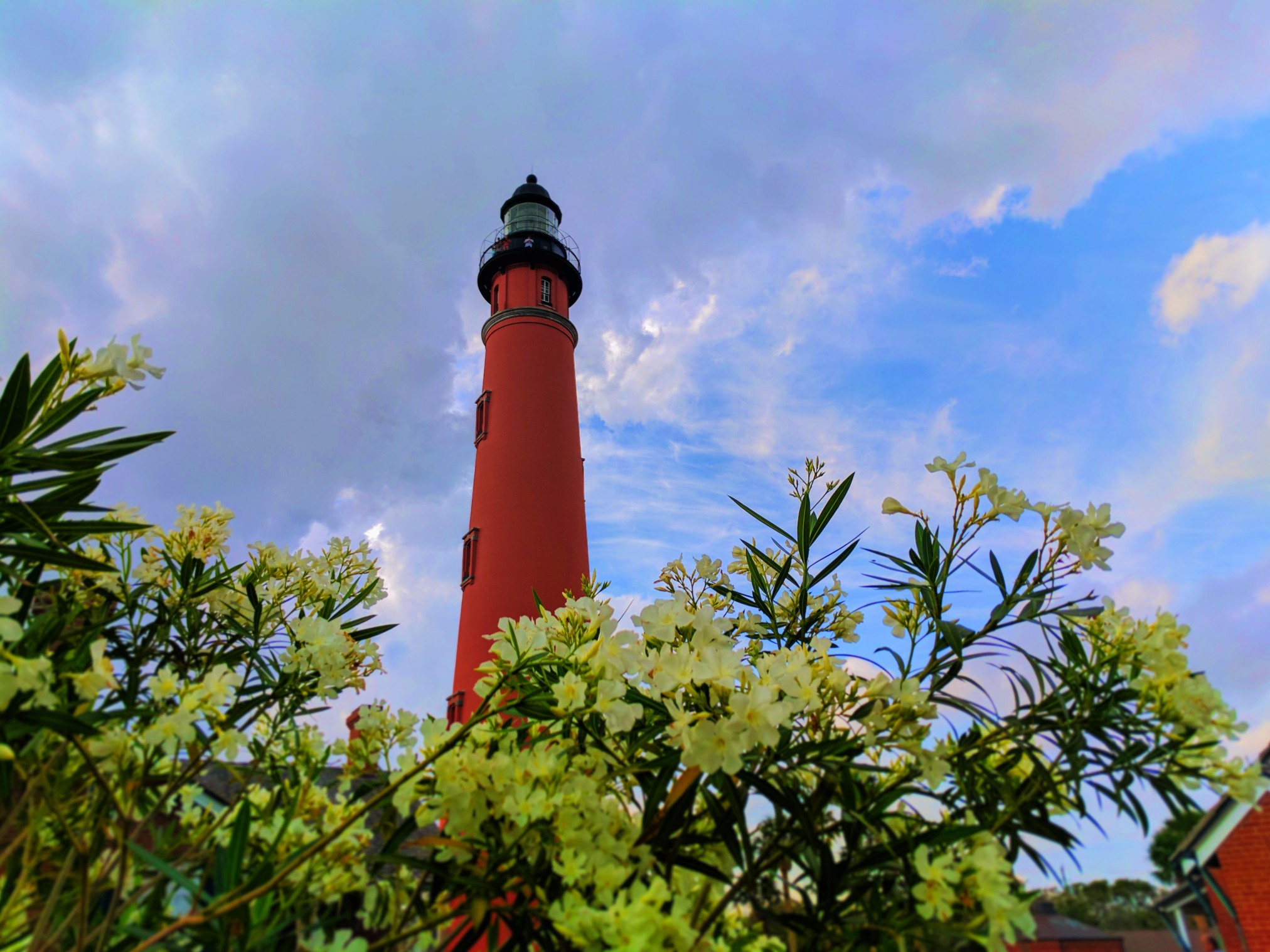 White Oleander and Ponce Inlet Lighthouse Daytona Beach 1