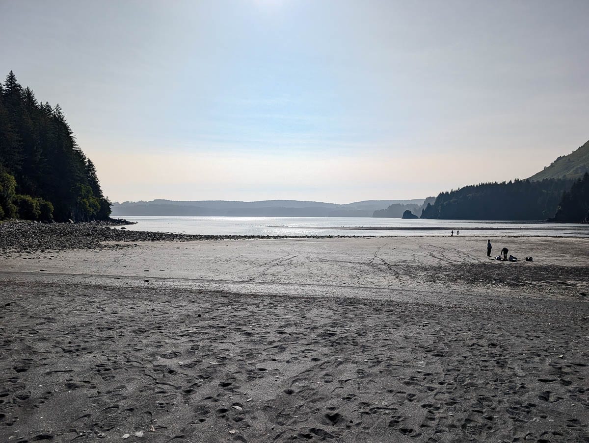 White Sands Beach Bird Estuary Kodiak Alaska 1