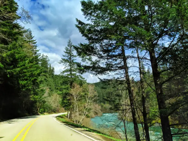 Winding Road on Tundering Waters Route Umpqua National Forest 1