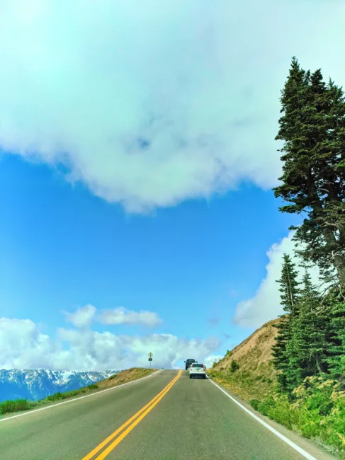 Winding Road up to Hurricane Ridge Olympic National Park Washington 4